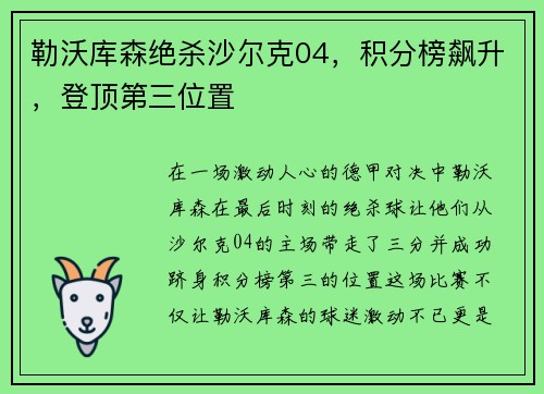 勒沃库森绝杀沙尔克04，积分榜飙升，登顶第三位置