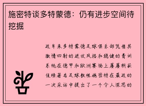 施密特谈多特蒙德：仍有进步空间待挖掘