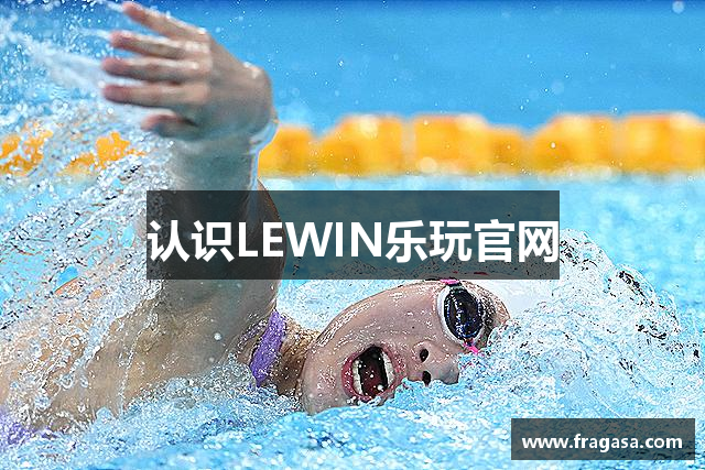 认识LEWIN乐玩官网